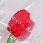 Мыльный тюльпан, красный - фото 6800609
