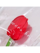 Мыльный тюльпан, красный - Фото 6