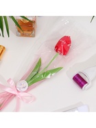 Мыльный тюльпан, красный - фото 809441938