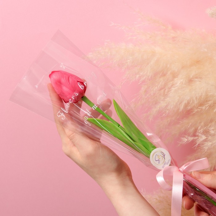 Мыльный тюльпан, фуксия - Фото 1