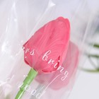 Мыльный тюльпан, фуксия - Фото 3