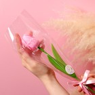 Мыльный тюльпан, розовый - фото 319250446