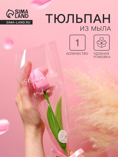 Мыльный тюльпан, розовый