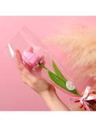 Мыльный тюльпан, розовый - Фото 4