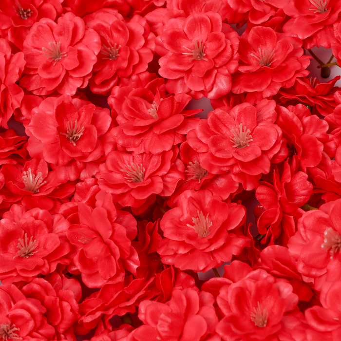 Мыльный цветок сакуры, красный - фото 1907621004