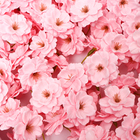 Мыльный цветок сакуры, розовый - Фото 6