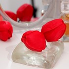Мыльный тюльпан, красный - Фото 3