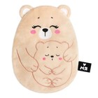 Развивающая игрушка «Медведица с медвежонком», с вишневыми косточками, 17,5 см - фото 319250778