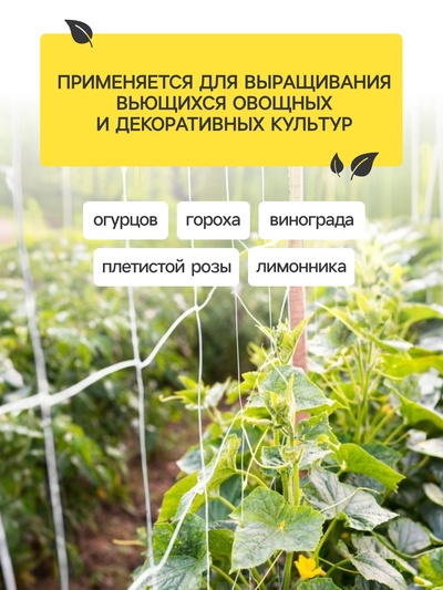 Сетка садовая для огурцов, шпалерная, 10×2 м, ячейка 15×15 см, Greengo