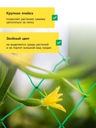 Сетка садовая для огурцов, шпалерная, 10×2 м, ячейка 15×15 см, Greengo - Фото 5