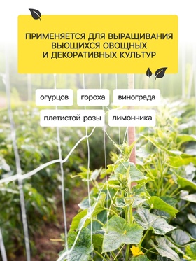 Сетка садовая для огурцов, шпалерная, 5×2 м, ячейка 15×15 см, Greengo