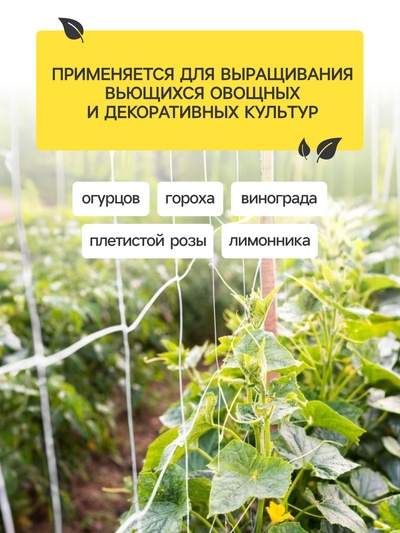 Сетка садовая для огурцов, шпалерная, 5×2 м, ячейка 15×15 см, Greengo