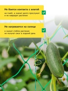 Сетка садовая для огурцов, шпалерная, 5×2 м, ячейка 15×15 см, Greengo - Фото 4