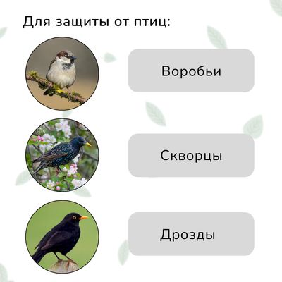 Сетка садовая, мягкая, 10×2 м, ячейка 15×15 мм, от птиц, Greengo