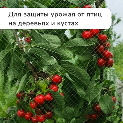 Сетка садовая, мягкая, 10×2 м, ячейка 15×15 мм, от птиц, Greengo