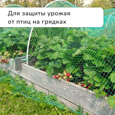Сетка садовая, мягкая, 10×2 м, ячейка 15×15 мм, от птиц, Greengo