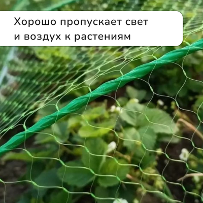 Сетка садовая, мягкая, 10×2 м, ячейка 15×15 мм, от птиц, Greengo