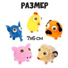 Игрушка-антистресс «Пучеглазики. Ферма», в шоубоксе - Фото 2