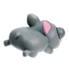 Игрушка-антистресс «Пучеглазики. Собаки», в шоубоксе - Фото 5