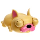 Игрушка-антистресс «Пучеглазики. Собаки», в шоубоксе - Фото 7