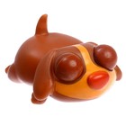 Игрушка-антистресс «Пучеглазики. Собаки», в шоубоксе - Фото 9