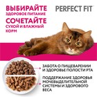 Влажный корм Perfect Fit для чувствительных кошек, индейка, 75 г - Фото 5