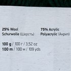 Пряжа "Merino bulky" 25% шерсть 75% акрил 100м/100гр (590 темн.зеленый) - фото 23657317
