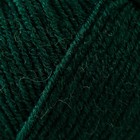 Пряжа для вязания спицами, крючком YarnArt, Merino de luxe 50, 50% шерсть, 50% акрил, 280 м/100 г, (590 т. зелёный) 9464933 - фото 1678851