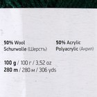 Пряжа для вязания спицами, крючком YarnArt, Merino de luxe 50, 50% шерсть, 50% акрил, 280 м/100 г, (590 т. зелёный) 9464933 - фото 1678852