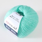 Пряжа "Silky Wool" 35% силк район, 65% мерино. вул 190м/25г (340 весна) - Фото 2