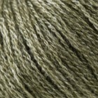 Пряжа для вязания спицами, крючком YarnArt, Silky Wool, 35% силк район, 65% мерино вул, 190 м/25г, (346 полынь) 9464944 - фото 1678859