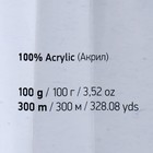 Пряжа "Elite" 100% акрил 300м/100г (804 св.серый) 9465063 - фото 16767218