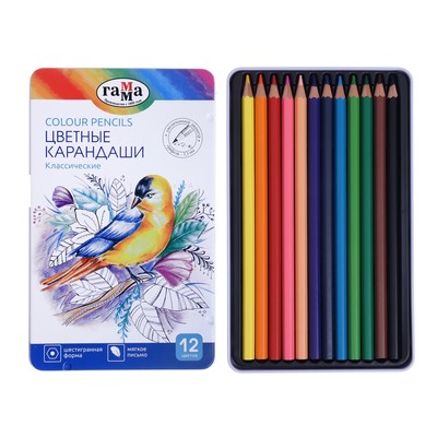 Карандаши цветные «Гамма. Классические», 12 цветов, в металлическом пенале, легко затачиваются, увеличенный диаметр грифеля 3.3 мм