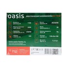 Газонокосилка электрическая Oasis GE-110, 1100 Вт, шир./выс. 320/25-55 мм + ПОДАРОК 9492889 - фото 4333332