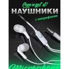 Наушники Smartbuy Model X, вакуумные, микрофон, 105 дБ, 16 Ом, 3.5мм, 1.05 м, пакет, белые 9474464 - фото 10231667