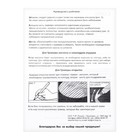 Гравюра 11 × 17 см, Три кота «Котята у моря» 9439785