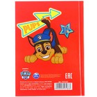 Блокнот А6, 64 листа, в твёрдой обложке, PAW PATROL 9353183 - фото 12704501