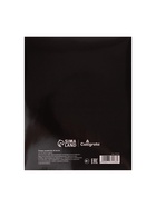 Предметная тетрадь по русскому языку Calligrata «На Чёрном», 48 листов, в линейку, со справочным материалом, обложка из мелованного картона - Фото 5