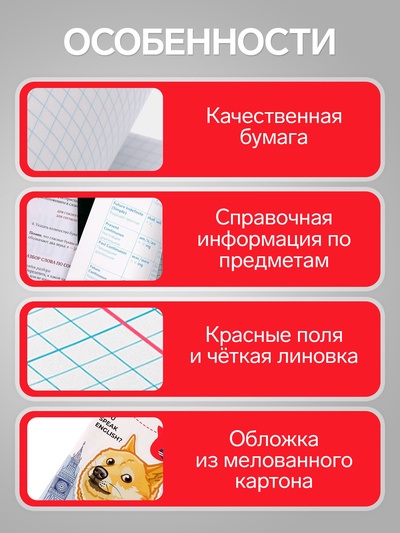 Предметная тетрадь по английскому языку Calligrata «Животные мемы», 36 листов, в клетку, со справочным материалом, обложка из мелованной бумаги