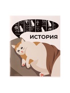Предметная тетрадь по истории Calligrata «Животные мемы», 36 листов, в клетку, со справочным материалом, обложка из мелованной бумаги - Фото 4
