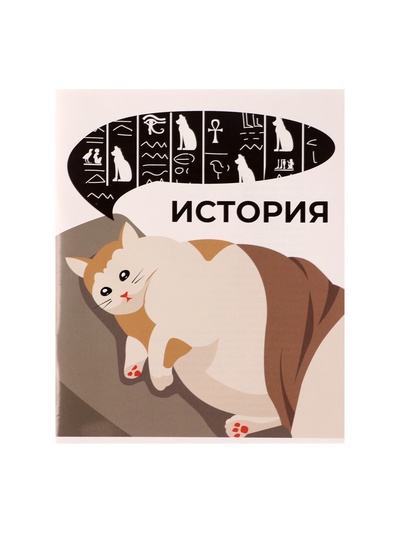 Предметная тетрадь по истории Calligrata «Животные мемы», 36 листов, в клетку, со справочным материалом, обложка из мелованной бумаги