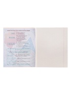 Предметная тетрадь по химии Calligrata «Животные мемы», 36 листов, в клетку, со справочным материалом, обложка из мелованной бумаги - Фото 5