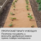 Кокосовое полотно для мульчирования, 3×0.5 м, «Мульчаграм» - Фото 5