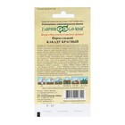 Семена Перец сладкий "Какаду", красный 0,1 г - Фото 2