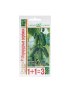 Семена Огурец «Изумрудные серёжки», F1, корнишон, 20 шт., «1+1-Гавриш» - Фото 5