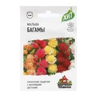 Семена Мальва «Багамы», смесь, серия «ХИТ х3», 0.1 г, «Гавриш» - Фото 1