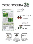 Семена Огурец "Зятек", F1, 10 шт + "Теща", F1, 10 шт серия Дуэт - Фото 2