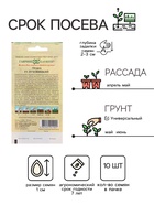 Семена Огурец «Луховицкий», F1, корнишон, 10 шт., «Гавриш» - Фото 2