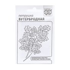 Семена Петрушка листовая «Бутербродная», 2 г, «Гавриш» - Фото 1