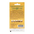 Семена Лук репчатый (Голландия) "Эксибишен", ц/п, 0,2 г - Фото 2